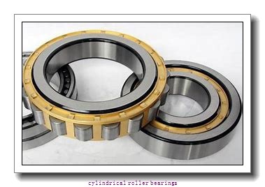 50 x 4.331 Inch | 110 Millimeter x 1.575 Inch | 40 Millimeter  NSK NJ2310ET  Cylindrical Roller Bearings
