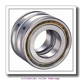 19.685 Inch | 500 Millimeter x 26.378 Inch | 670 Millimeter x 6.693 Inch | 170 Millimeter  CONSOLIDATED BEARING NNU-49/500-KMS P/5  Cylindrical Roller Bearings