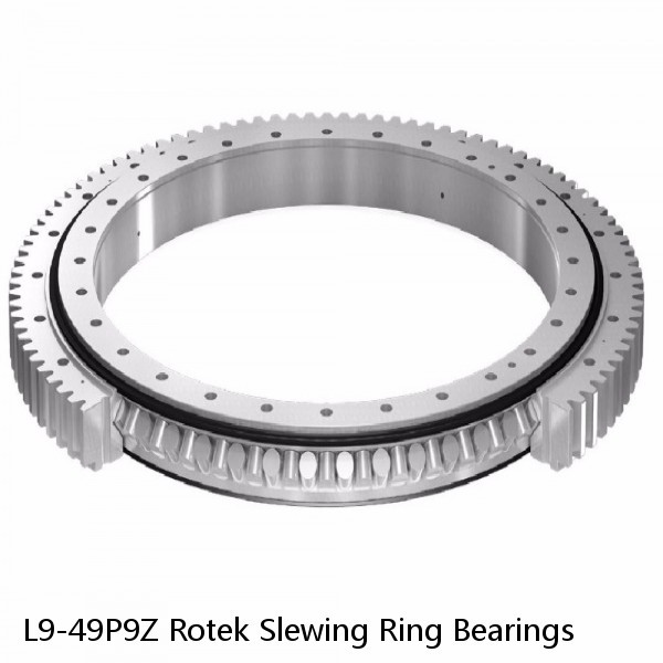 L9-49P9Z Rotek Slewing Ring Bearings