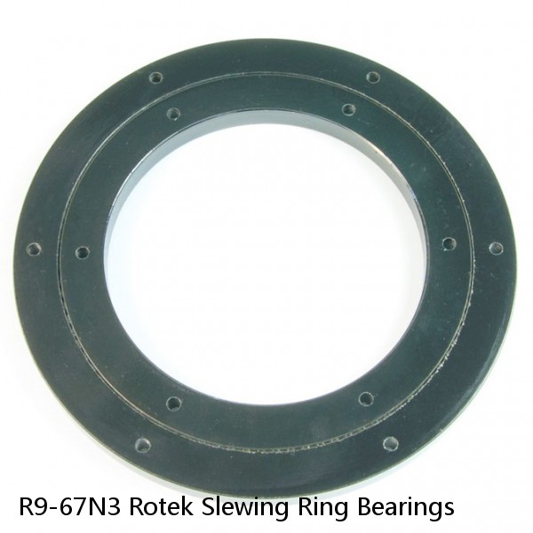R9-67N3 Rotek Slewing Ring Bearings