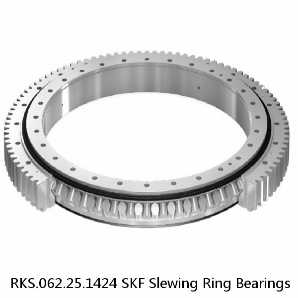 RKS.062.25.1424 SKF Slewing Ring Bearings