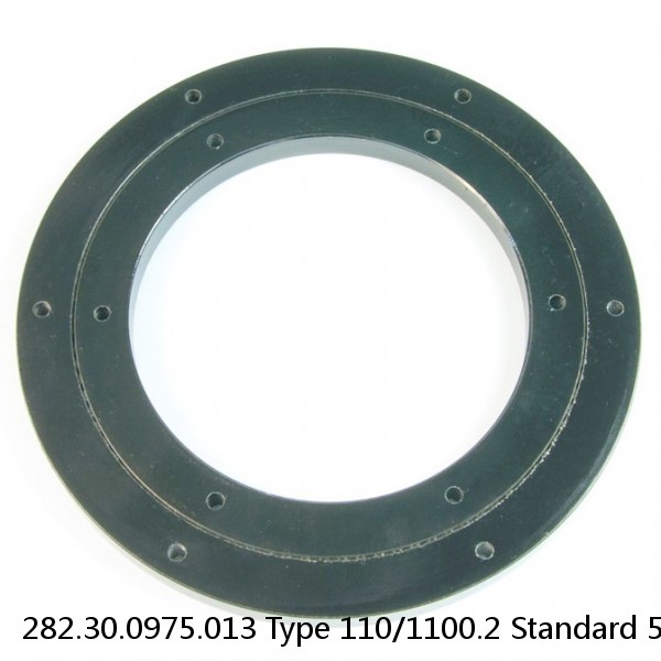282.30.0975.013 Type 110/1100.2 Standard 5 Slewing Ring Bearings