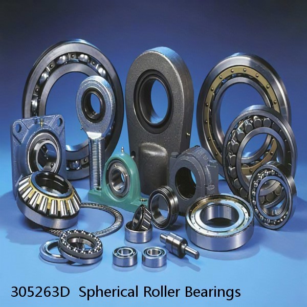 305263D  Spherical Roller Bearings #1 small image