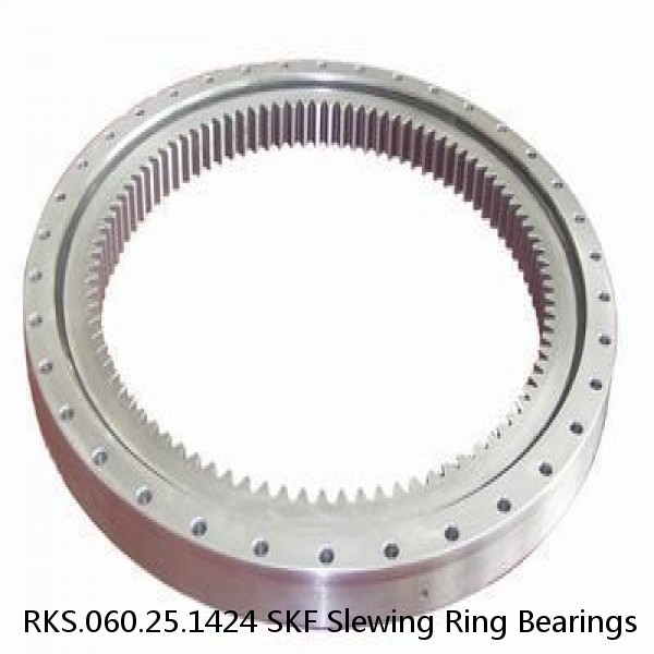 RKS.060.25.1424 SKF Slewing Ring Bearings #1 small image