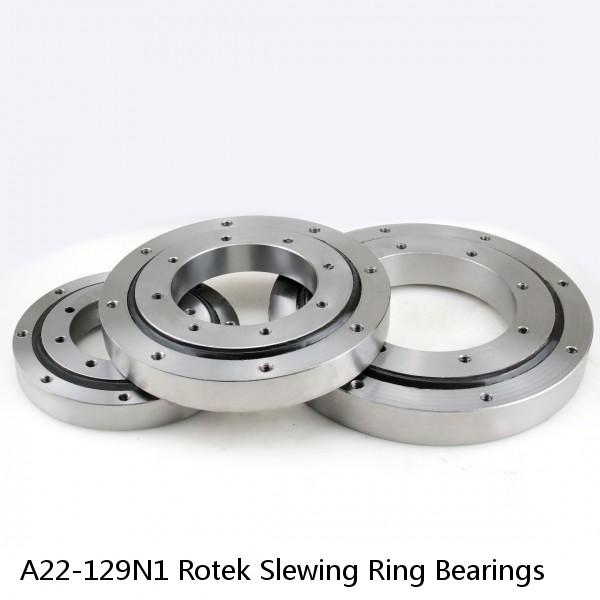 A22-129N1 Rotek Slewing Ring Bearings #1 small image
