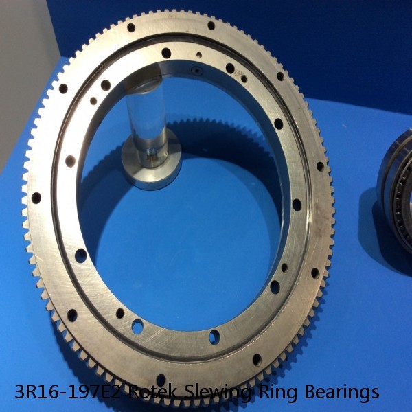 3R16-197E2 Rotek Slewing Ring Bearings #1 small image