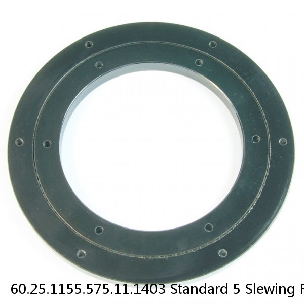 60.25.1155.575.11.1403 Standard 5 Slewing Ring Bearings #1 small image