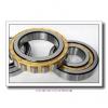 1.772 Inch | 45 Millimeter x 2.953 Inch | 75 Millimeter x 0.63 Inch | 16 Millimeter  CONSOLIDATED BEARING NU-1009 M C/3  Cylindrical Roller Bearings