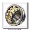 240 mm x 400 mm x 160 mm  SKF 24148 CCK30/W33  Spherical Roller Bearings #2 small image