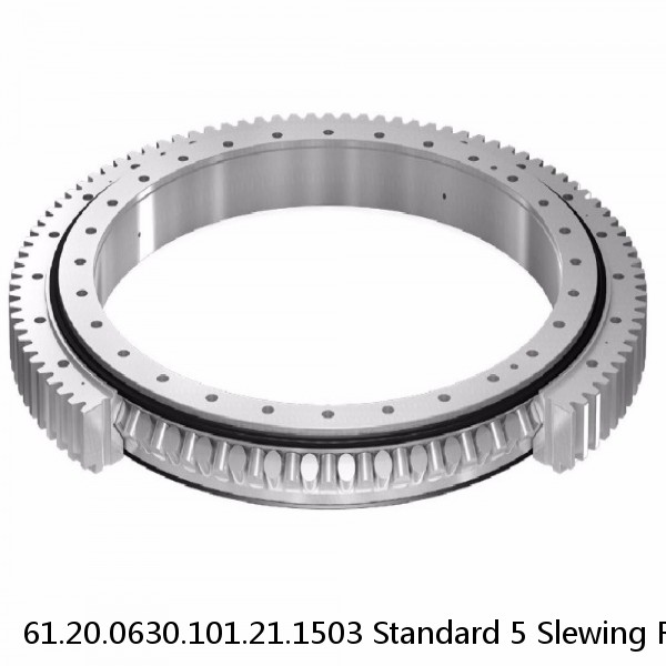 61.20.0630.101.21.1503 Standard 5 Slewing Ring Bearings #1 image