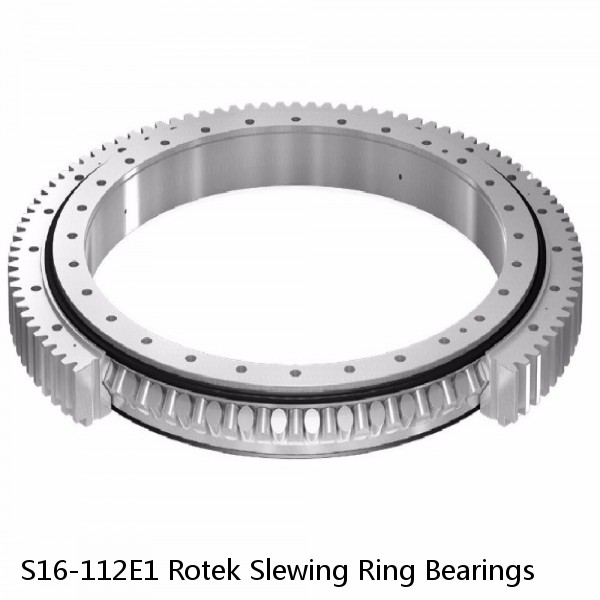 S16-112E1 Rotek Slewing Ring Bearings #1 image