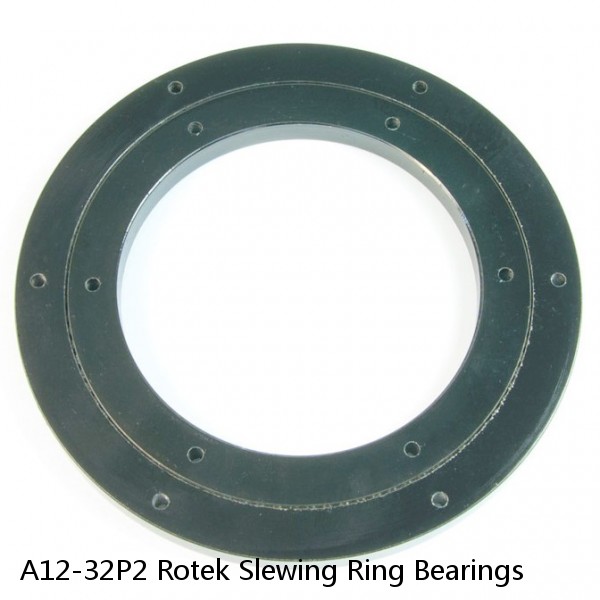 A12-32P2 Rotek Slewing Ring Bearings #1 image