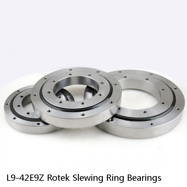 L9-42E9Z Rotek Slewing Ring Bearings #1 image