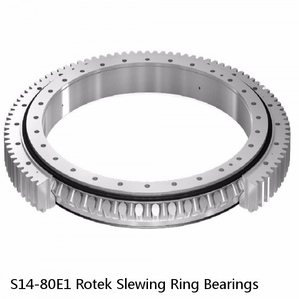 S14-80E1 Rotek Slewing Ring Bearings #1 image