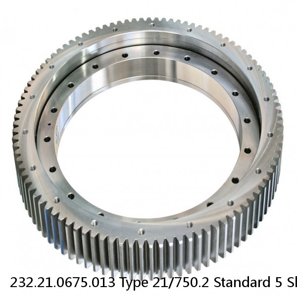 232.21.0675.013 Type 21/750.2 Standard 5 Slewing Ring Bearings #1 image