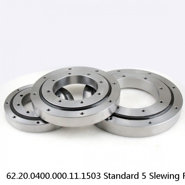 62.20.0400.000.11.1503 Standard 5 Slewing Ring Bearings #1 image