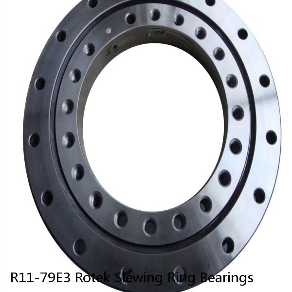 R11-79E3 Rotek Slewing Ring Bearings #1 image