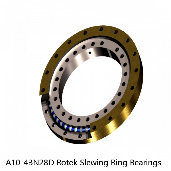 A10-43N28D Rotek Slewing Ring Bearings #1 image