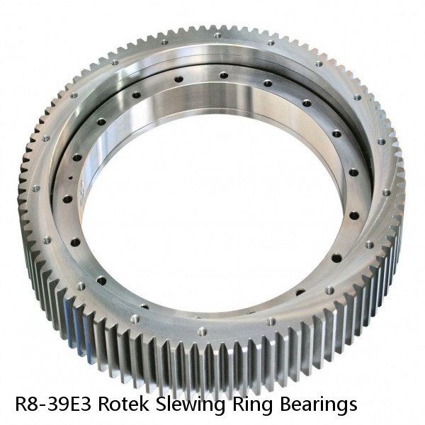 R8-39E3 Rotek Slewing Ring Bearings #1 image