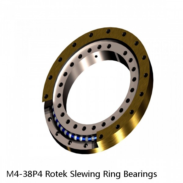 M4-38P4 Rotek Slewing Ring Bearings #1 image