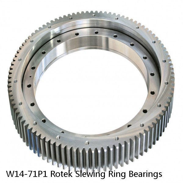 W14-71P1 Rotek Slewing Ring Bearings #1 image