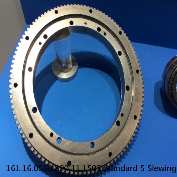 161.16.0560.890.11.1503 Standard 5 Slewing Ring Bearings #1 image