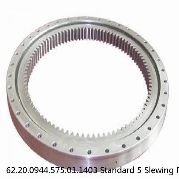 62.20.0944.575.01.1403 Standard 5 Slewing Ring Bearings #1 image