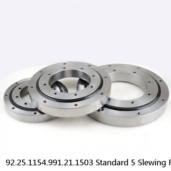 92.25.1154.991.21.1503 Standard 5 Slewing Ring Bearings #1 image