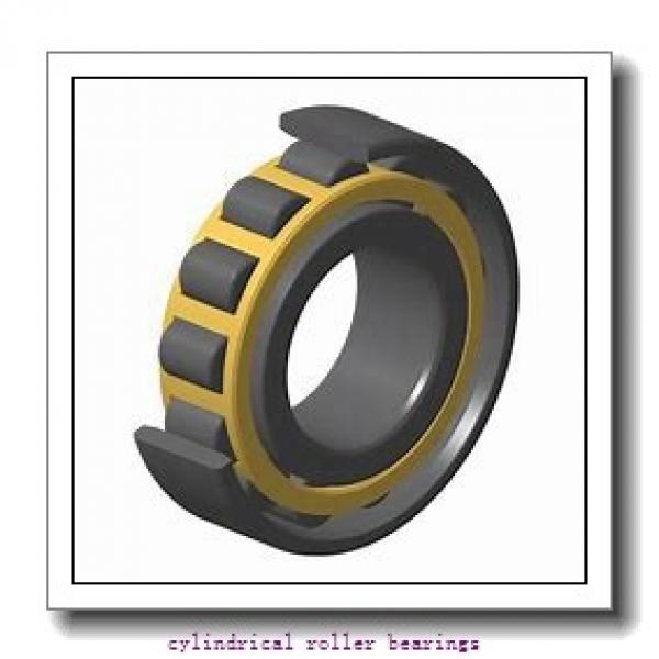 1.772 Inch | 45 Millimeter x 2.953 Inch | 75 Millimeter x 0.63 Inch | 16 Millimeter  CONSOLIDATED BEARING NU-1009 M C/3  Cylindrical Roller Bearings #2 image