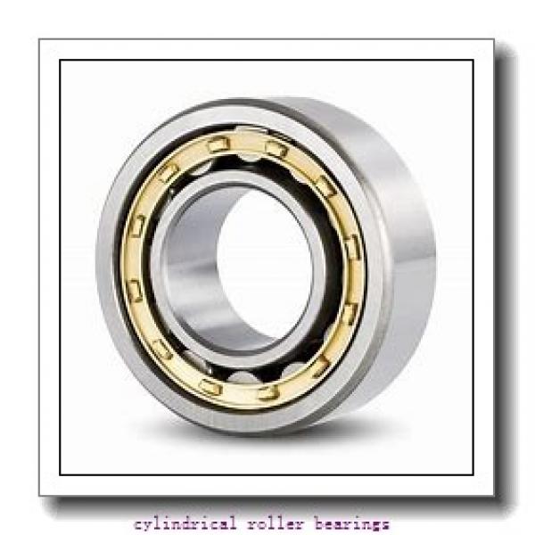 1.575 Inch | 40 Millimeter x 2.677 Inch | 68 Millimeter x 0.591 Inch | 15 Millimeter  CONSOLIDATED BEARING NU-1008 M  Cylindrical Roller Bearings #1 image