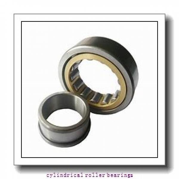 1.969 Inch | 50 Millimeter x 3.15 Inch | 80 Millimeter x 0.906 Inch | 23 Millimeter  NSK NN3010MBKRE44CC1P4  Cylindrical Roller Bearings #1 image