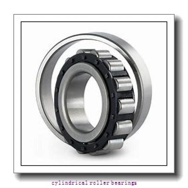 19.685 Inch | 500 Millimeter x 26.378 Inch | 670 Millimeter x 6.693 Inch | 170 Millimeter  CONSOLIDATED BEARING NNU-49/500-KMS P/5  Cylindrical Roller Bearings #2 image